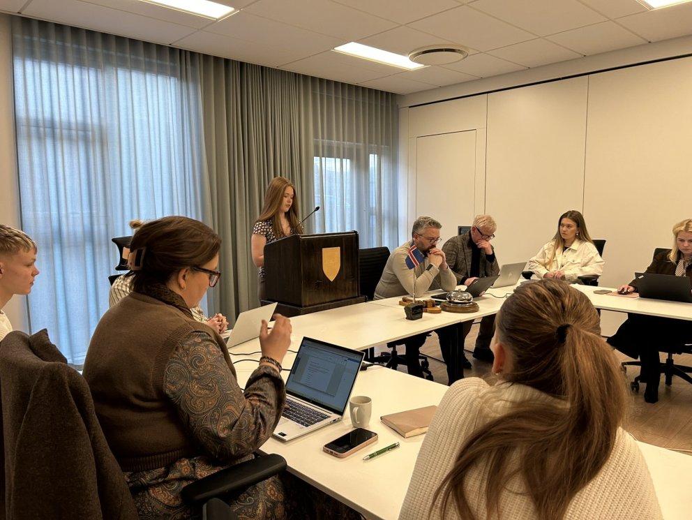 Bæjarstjórnarfundur unga fólksins