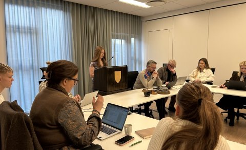 Bæjarstjórnarfundur unga fólksins